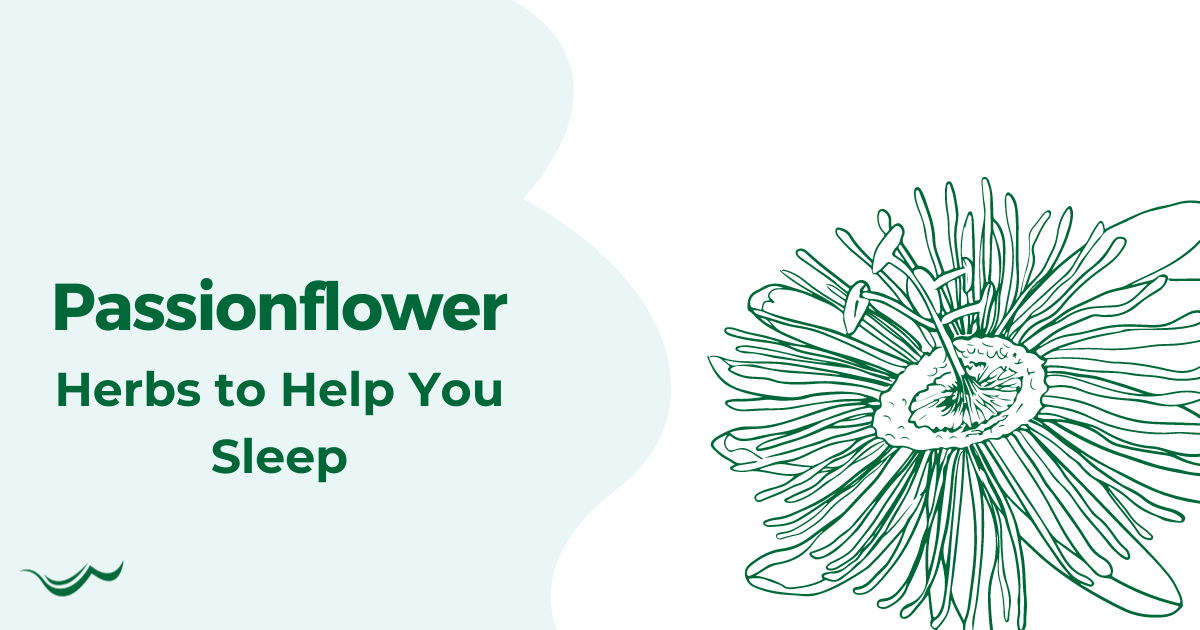 Passionflower: Herbs to Help You Sleep