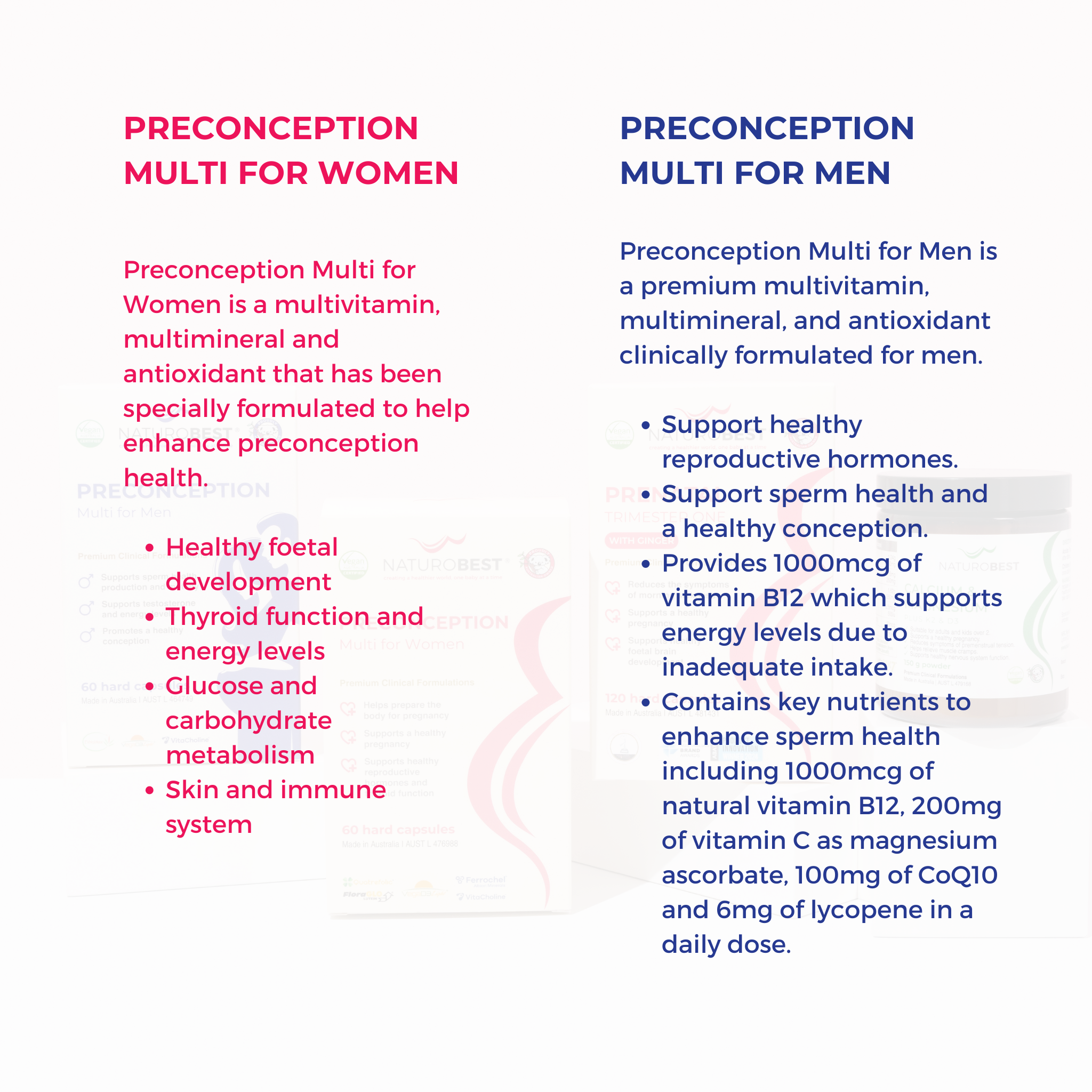 Preconception to Pregnancy Bundle | Save 20%!