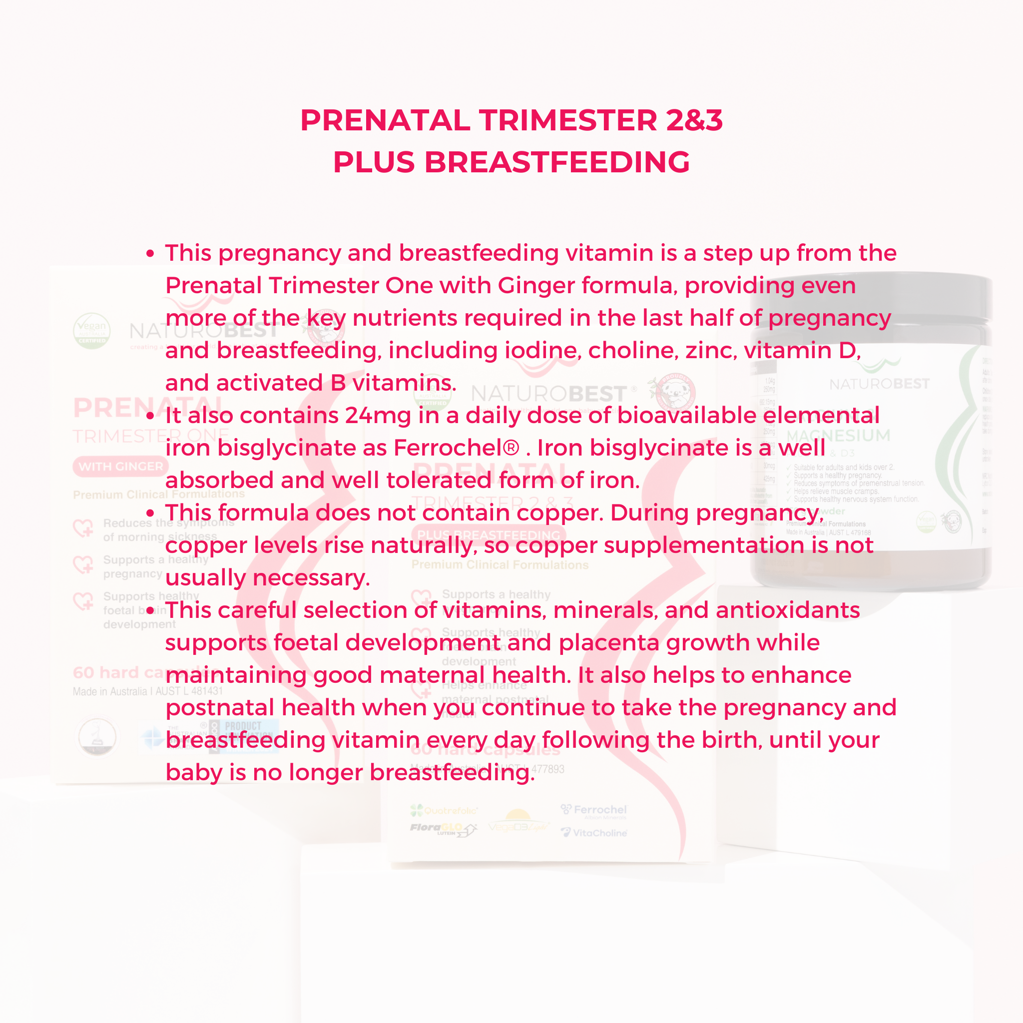 Prenatal Bundle One